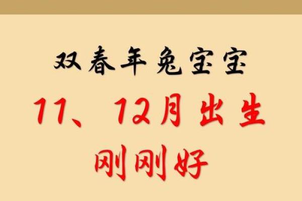 2023年出生的宝宝命运分析：福气满满的一年！