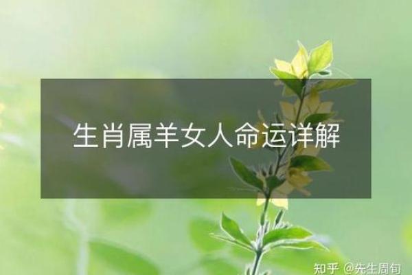 2015年属羊的人生运势与命理解析：解析你的命运与性格特点！