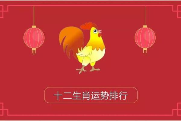 2016年命格分析：属鸡人的命运与运势解读