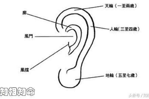 壬戌己酉命格解析：探秘命运背后的智慧与运势