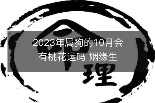 1994年狗年宝宝命理解析：未来运势及性格特点