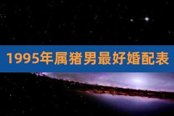 1995年猪年7月出生者的命运与运势揭秘