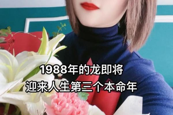 探寻1988年12月出生者的命运与性格特征