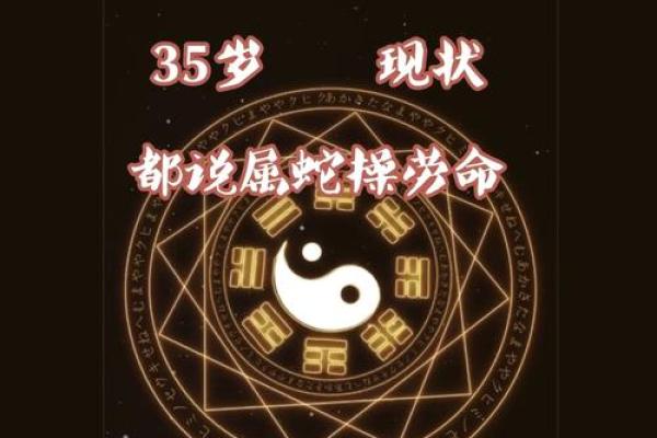 2013属蛇的命运解析：神秘的蛇年生人究竟意味着什么？