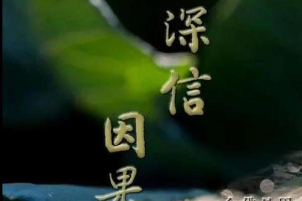 和尚投胎的命理奥秘：探寻灵魂轮回与因果法则