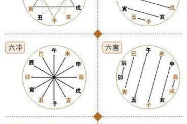 揭示藏象学：你的人生命运与五行八字的秘密