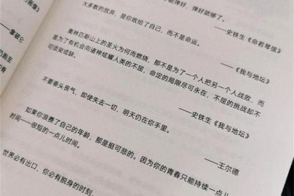 2000年出生男生的命运解析：揭示人生之路的奥秘与挑战