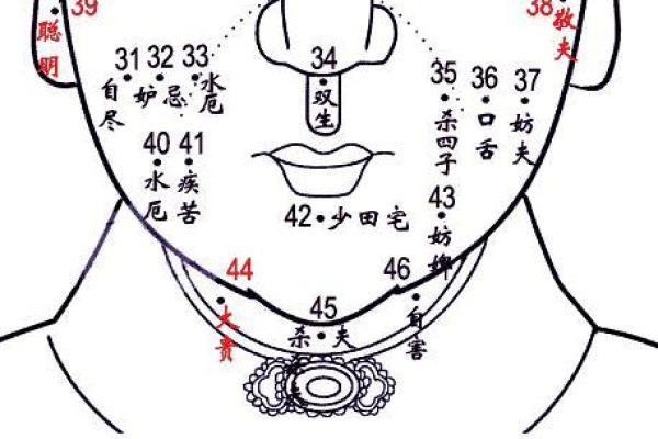 算命解密：肩上长痔的命运解析与人生启示！