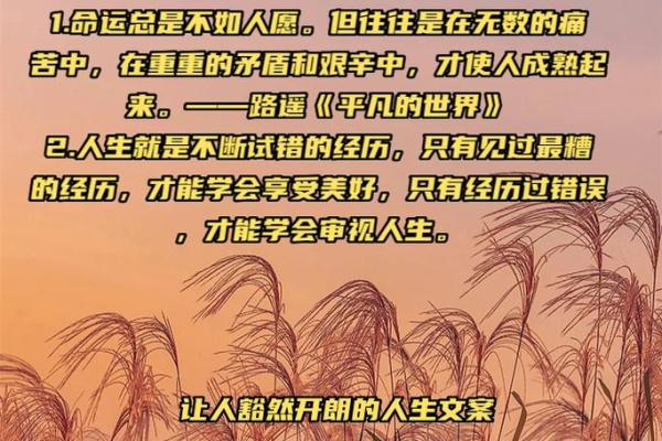 25岁前的命运探秘：揭示人生初期的秘密与成就