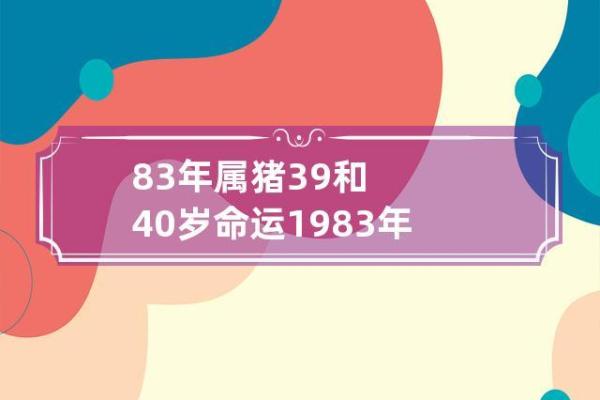 1983年属猪人的个性与命运解析：机遇与挑战并存