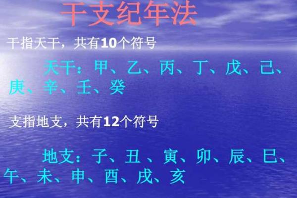 甲戌年出生的人命运解析：与财富、事业和性格的深度剖析