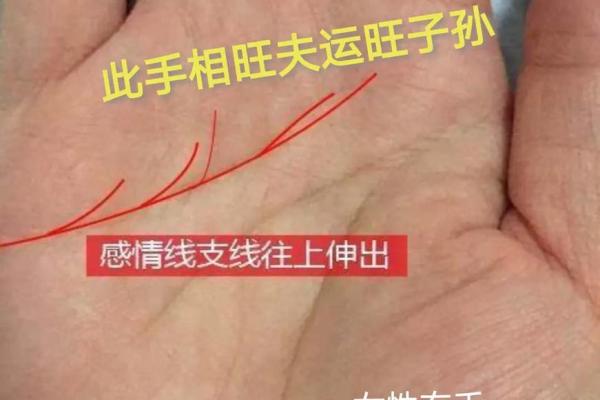 女孩掌纹分析：如何判断命运与人生的方向