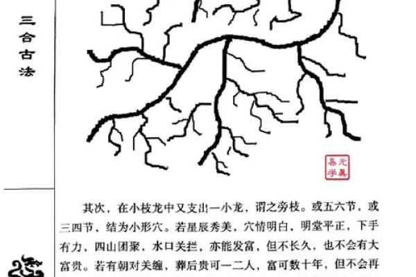 己丑命与不同命格的相配：解读五行之道与人生机缘