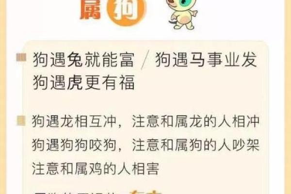 34岁属狗的命运解析：揭示你的生命周期与运势关键