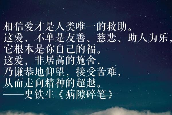 探索叛逆与倔强：命运之中的不屈之魂