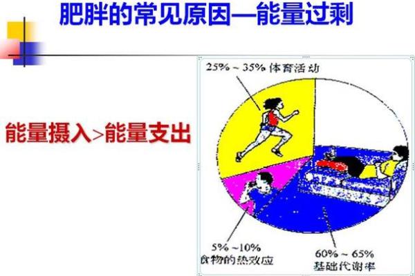 1964年水命：探寻生命中的能量与平衡之道