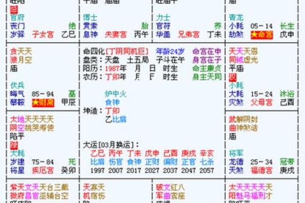 正月兔的命格解析：从五行看兔年的幸运与挑战