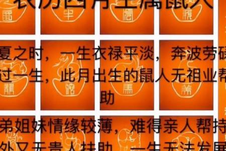 88年属相人的命运解析：从鼠年走向成功的秘笈