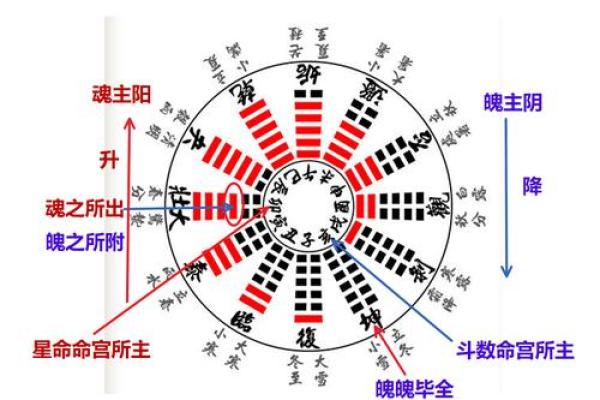 1993年：命理解析与人生启示的奥秘之年