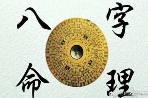 己亥命人生转折：揭示埋藏的智慧与提升运势的秘密