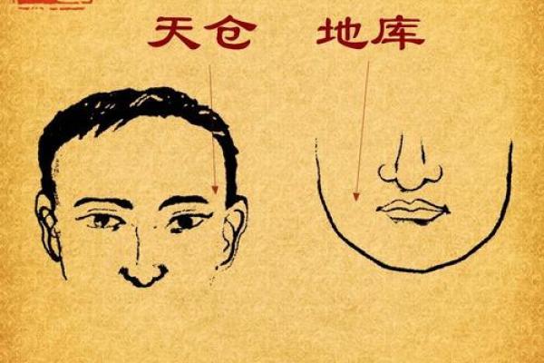 秉字的命理解读：掌握运势，改变人生的秘密