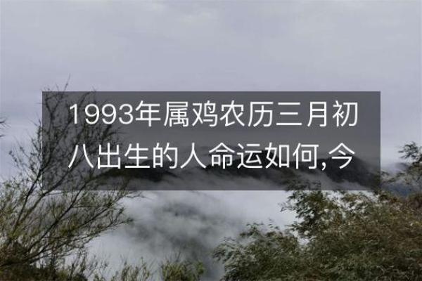 1993年鸡男的命运解析与人生启示