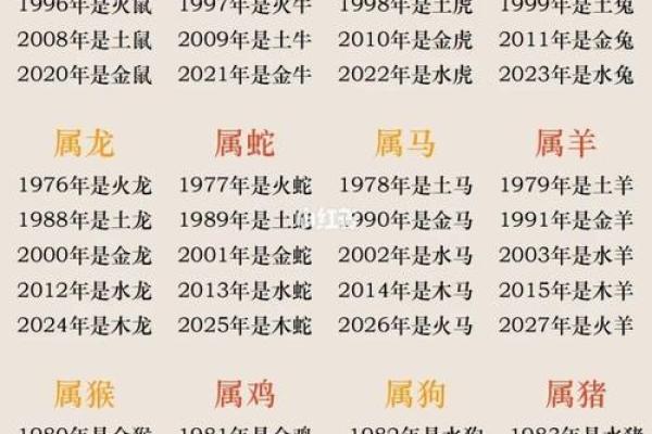 12虚岁属兔的命运解析：兔年出生孩子的未来与命格探秘