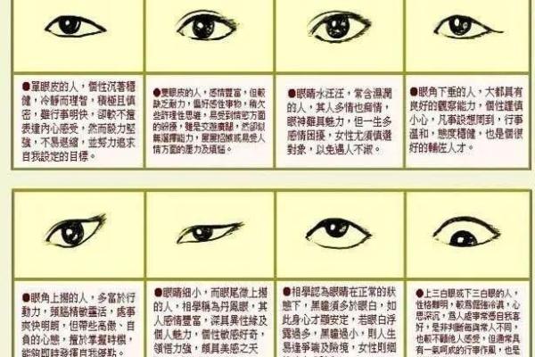 揭秘年份与命运的神秘联系：你的出生年份揭示了什么？