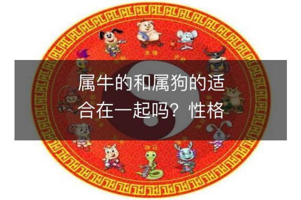 48年属狗的命运与性格解析：揭秘狗年人的人生之路