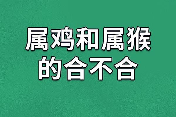 火命属鸡者的潜在缺陷与性格挑战解析