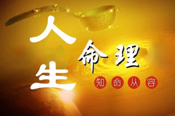 87年女命解析：揭示事业与婚姻的命运玄机