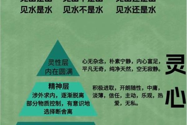 1971年属猪的命运与缺失，助你找到生命的平衡与幸福！