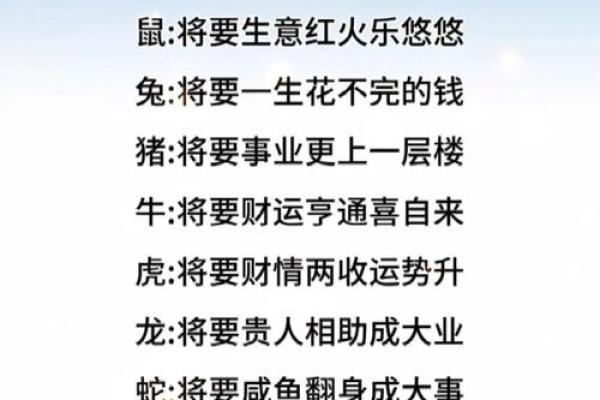 解密生肖：2023年属相与命运的最佳搭配分析