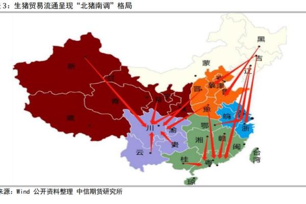 2023年：五十岁猪的命运与人生启示分析