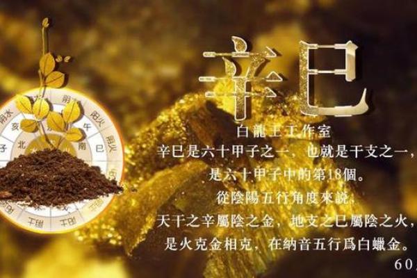 金命人适合佩戴的幸运钱币与风水知识分享