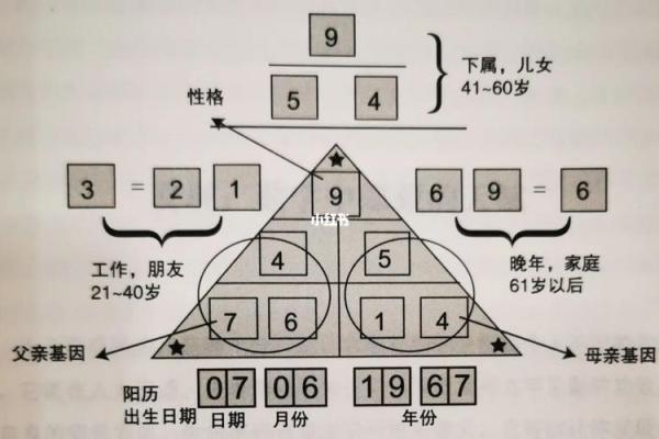 金命人与数字的完美搭配：如何通过数字提升运势！