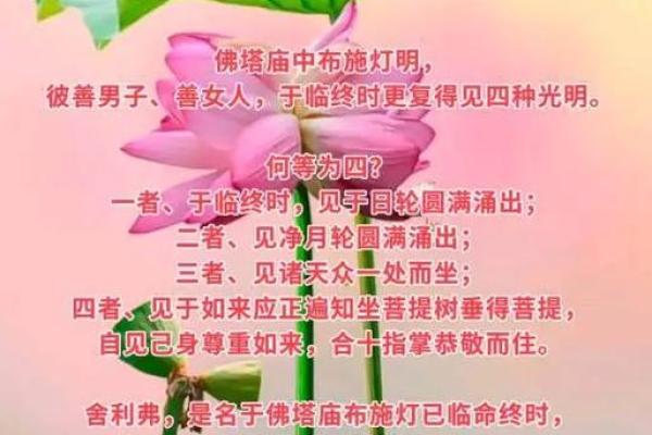 什么是身命布施：用心去感悟生命的奉献与快乐