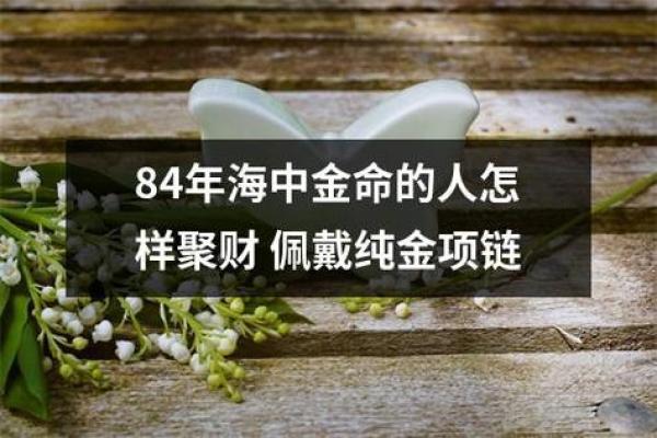 海中金命的独特优势与生活中的应用探讨