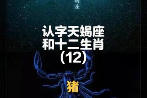 2007年属猪人的命格解析与人生运势分析