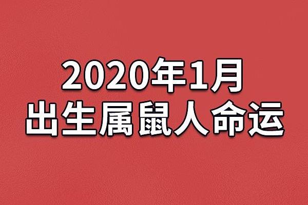 92年12月出生者的命运与生活轨迹解析