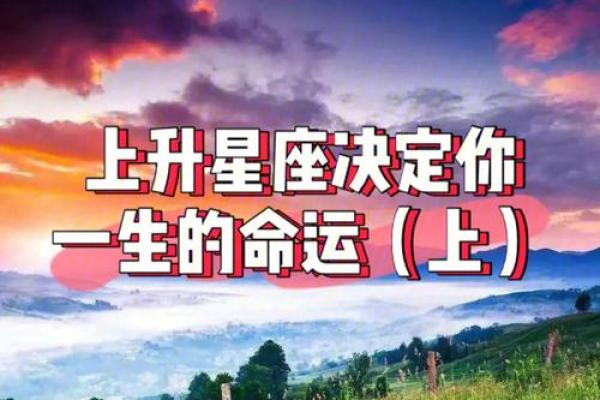 12星座命运解析：你属于哪一种？神秘与性格的深度探讨！