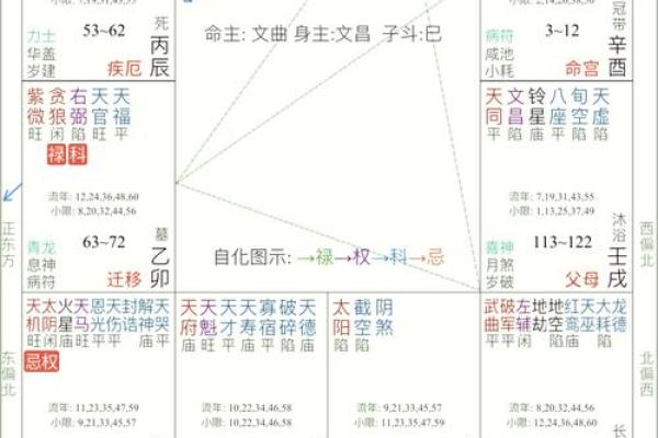 金马命与数字运势：探索命理中数字的奥秘与运用