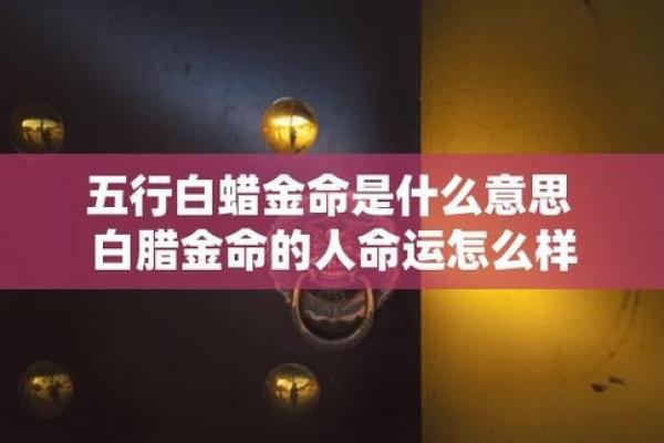 金命之人：命运的璀璨与挑战