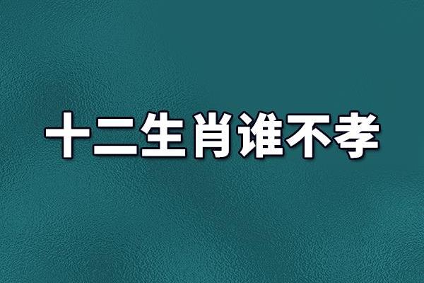 安于他命：探索生肖中的命运与个性之谜