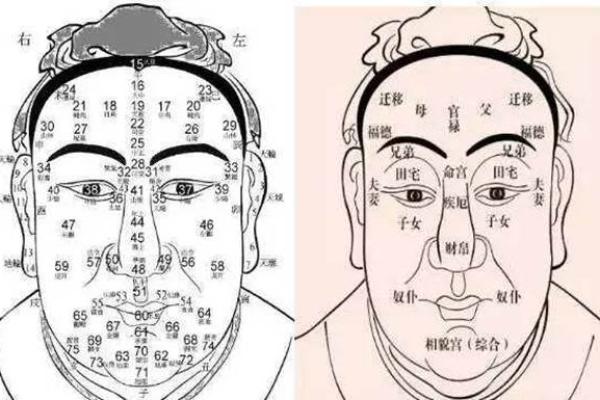 揭秘早年发达之命：改变人生轨迹的命理智慧