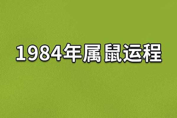 1972年属鼠者的命运解析：揭秘他们的性格与运势