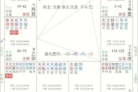 金马命与数字运势：探索命理中数字的奥秘与运用