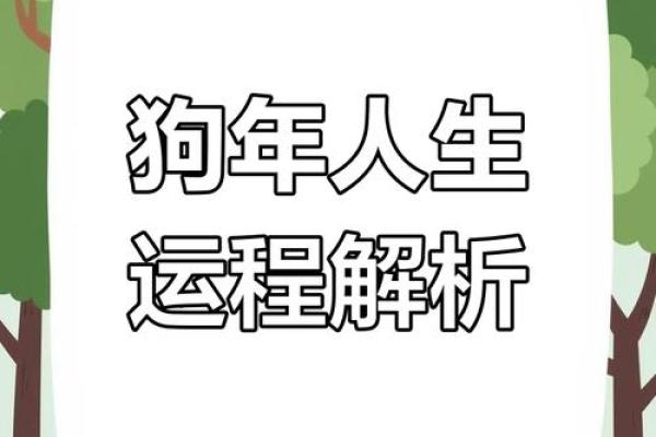 2018年属狗的人是什么命？揭秘属狗人的性格与运势