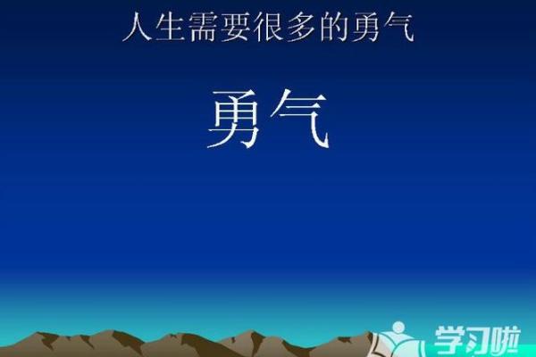 00属龙的人命运解析：勇敢与智慧的结合之路