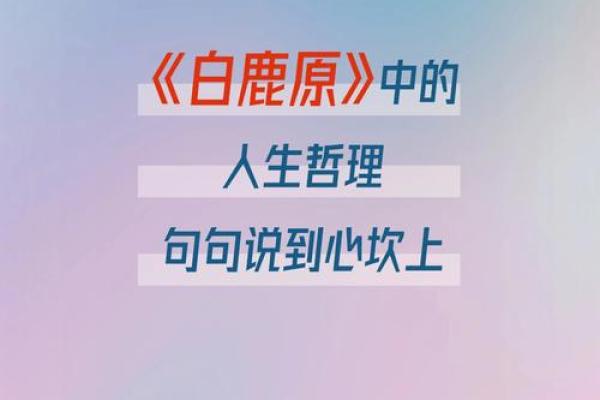 1996年正月十一，究竟是什么命？揭秘命理中的深意与人生哲理